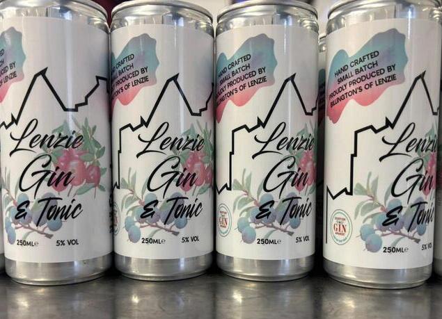 Lenzie Gin & Tonic RTD Can 4-Pack